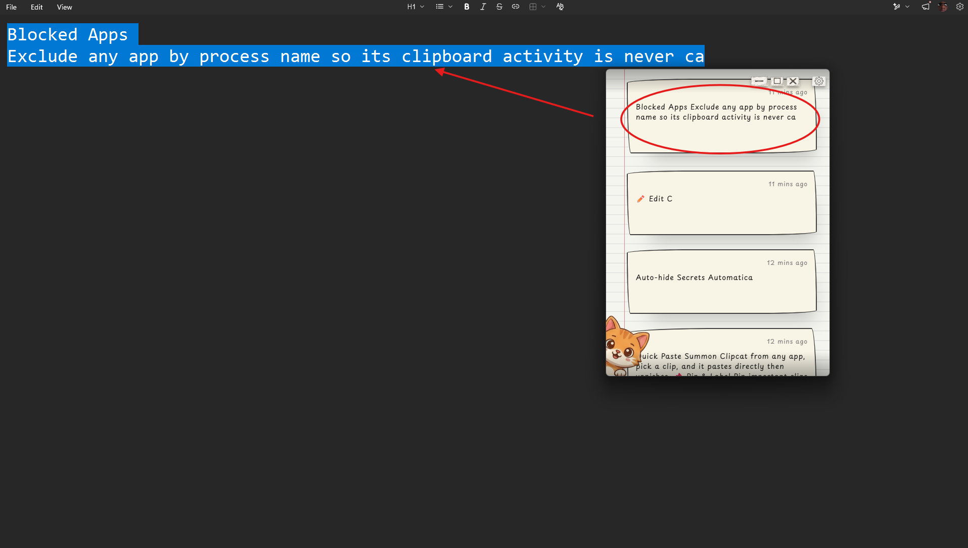 Auto-capture — clip list with text and image entries